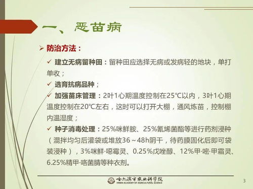 党建引领谋发展 科技助农备春耕 网络课堂 水稻常见病虫害的识别与防治 一 水稻病害